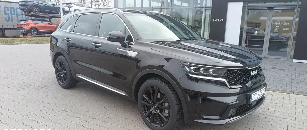 piła Kia Sorento cena 219900 przebieg: 2801, rok produkcji 2023 z Piła